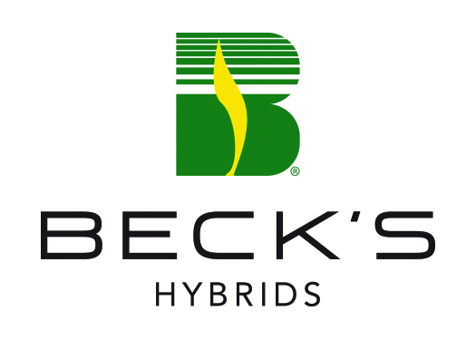 Beck's Hybrids